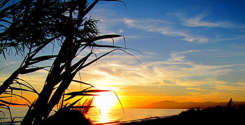 Sunset Marbella Playa